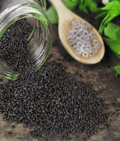 Basil Seeds